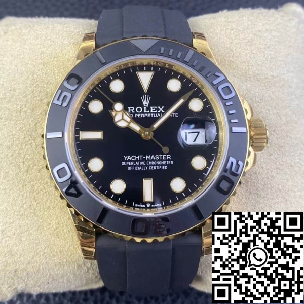 8shj8x1t.jpg