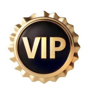 VIP Customer Payment Channel  NO.3